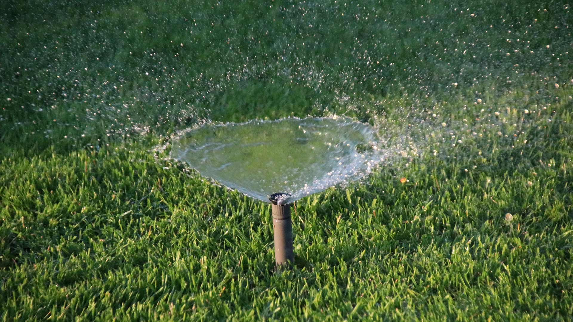 Irrigation system watering a dark green lawn near Mankato, MN.