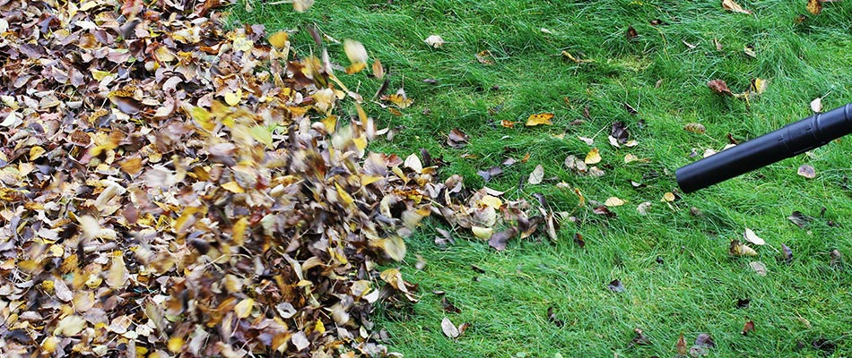 Leaves in yard being blown away by professionals in St. Peter, MN.