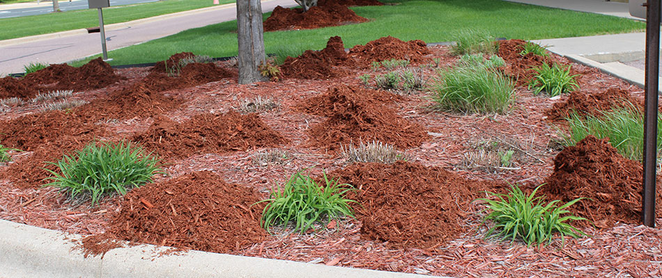 Mulch being replenished to a landscape bed in Lake Crystal, MN.